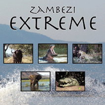 DVD Cover