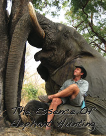 DVD Cover